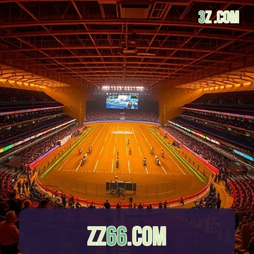 zz66.com App